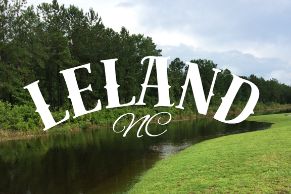 Pet sitter in Leland NC